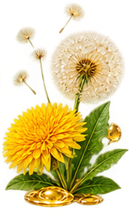 Dandelion Leaf Extract